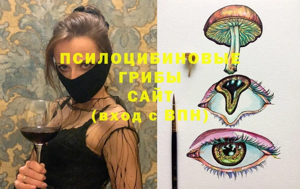 гидра Осинники