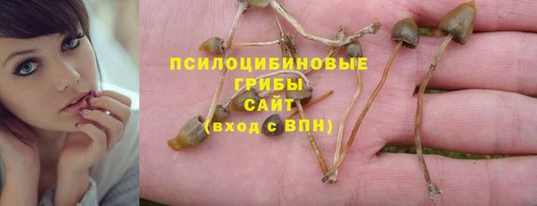 соль ск Остров