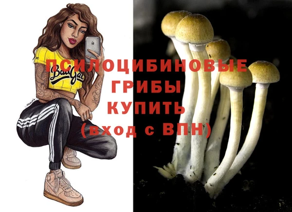 гидра Осинники