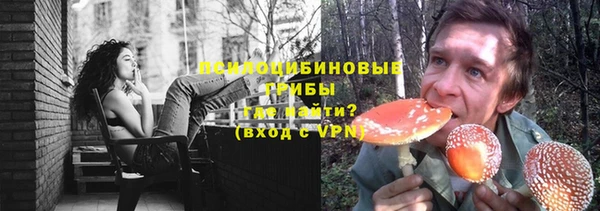 гидра Осинники